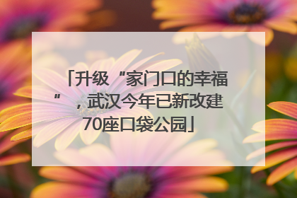 升级“家门口的幸福”，武汉今年已新改建70座口袋公园