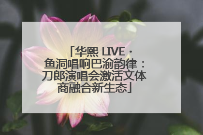 华熙 LIVE・鱼洞唱响巴渝韵律：刀郎演唱会激活文体商融合新生态