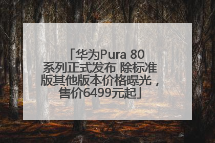 华为Pura 80系列正式发布 除标准版其他版本价格曝光，售价6499元起