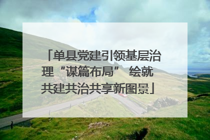单县党建引领基层治理“谋篇布局” 绘就共建共治共享新图景