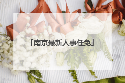 南京最新人事任免