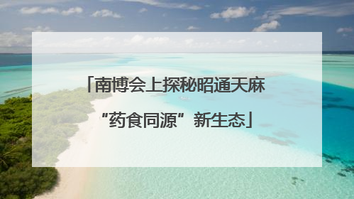 南博会上探秘昭通天麻“药食同源”新生态