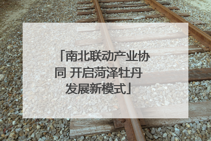 南北联动产业协同 开启菏泽牡丹发展新模式