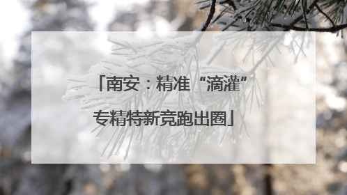 南安：精准“滴灌”专精特新竞跑出圈