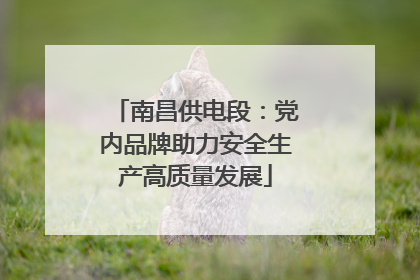 南昌供电段：党内品牌助力安全生产高质量发展