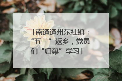 南通通州东社镇：“五一”返乡，党员们“归巢”学习