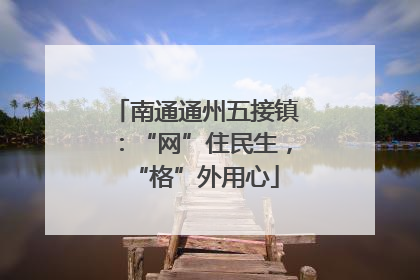 南通通州五接镇：“网”住民生，“格”外用心