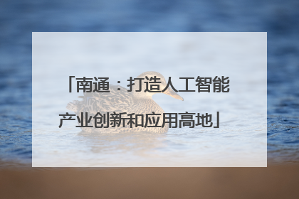 南通：打造人工智能产业创新和应用高地