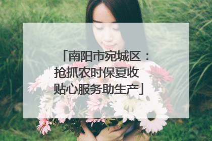 南阳市宛城区：抢抓农时保夏收 贴心服务助生产