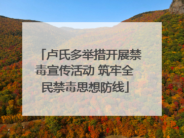 卢氏多举措开展禁毒宣传活动 筑牢全民禁毒思想防线