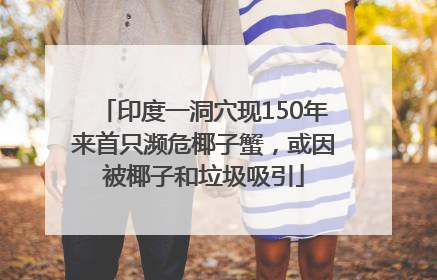 印度一洞穴现150年来首只濒危椰子蟹，或因被椰子和垃圾吸引
