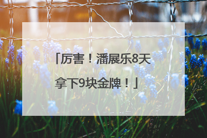 厉害！潘展乐8天拿下9块金牌！