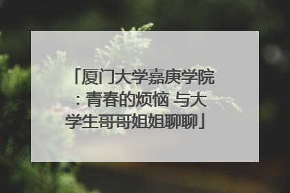 厦门大学嘉庚学院：青春的烦恼 与大学生哥哥姐姐聊聊