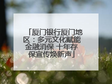厦门银行厦门地区：多元文化赋能金融消保 十年存保宣传焕新声