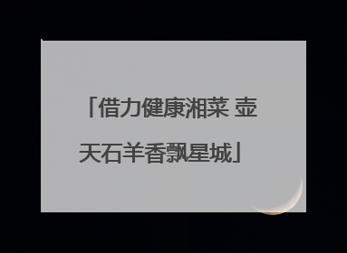 借力健康湘菜 壶天石羊香飘星城