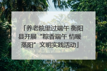 养老院里过端午 衡阳县开展“粽香端午 情暖蒸阳”文明实践活动