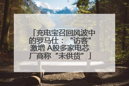 充电宝召回风波中的罗马仕：“访客”激增 A股多家电芯厂商称“未供货”