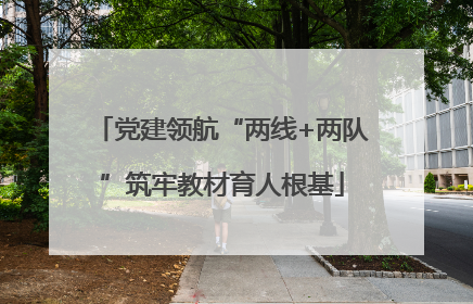 党建领航“两线+两队”筑牢教材育人根基
