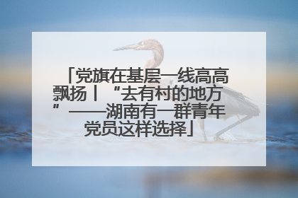 党旗在基层一线高高飘扬丨“去有村的地方”——湖南有一群青年党员这样选择