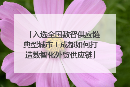 入选全国数智供应链典型城市！成都如何打造数智化外贸供应链