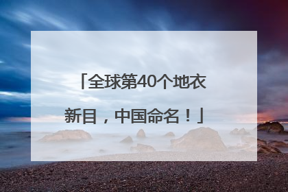 全球第40个地衣新目，中国命名！