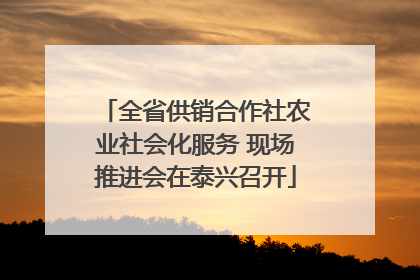 全省供销合作社农业社会化服务 现场推进会在泰兴召开