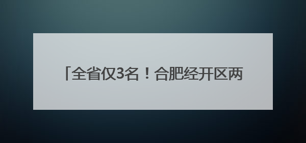 全省仅3名！合肥经开区两学子入选中国国少训练营