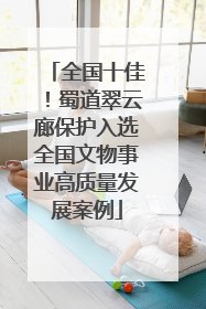 全国十佳！蜀道翠云廊保护入选全国文物事业高质量发展案例