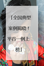 全国典型案例揭晓！平谷一例上榜