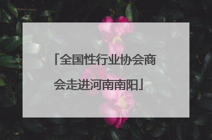 全国性行业协会商会走进河南南阳