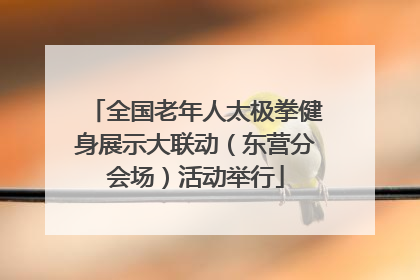 全国老年人太极拳健身展示大联动（东营分会场）活动举行