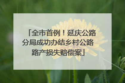 全市首例！延庆公路分局成功办结乡村公路路产损失赔偿案