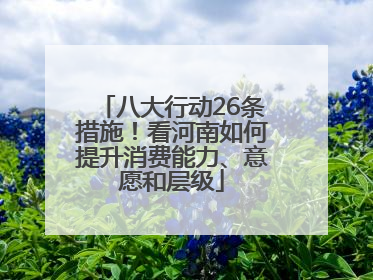 八大行动26条措施！看河南如何提升消费能力、意愿和层级