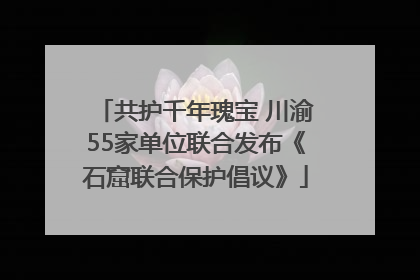 共护千年瑰宝 川渝55家单位联合发布《石窟联合保护倡议》