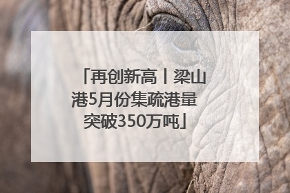 再创新高丨梁山港5月份集疏港量突破350万吨