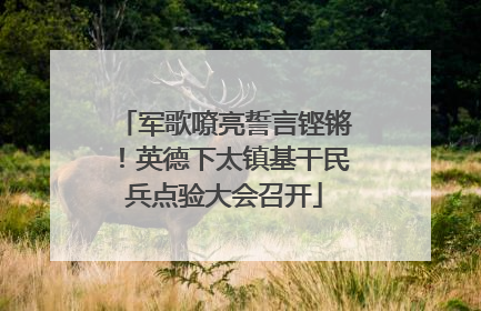 军歌嘹亮誓言铿锵！英德下太镇基干民兵点验大会召开