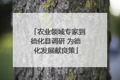 农业领域专家到德化县调研 为德化发展献良策