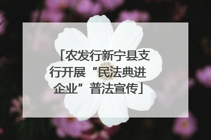 农发行新宁县支行开展“民法典进企业”普法宣传