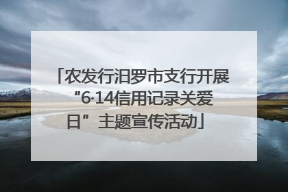 农发行汨罗市支行开展“6·14信用记录关爱日”主题宣传活动