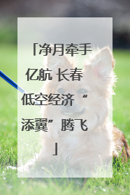 净月牵手亿航 长春低空经济“添翼”腾飞
