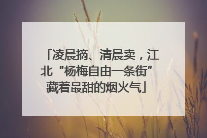 凌晨摘、清晨卖，江北“杨梅自由一条街”藏着最甜的烟火气