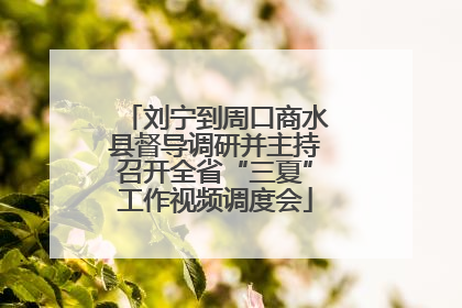 刘宁到周口商水县督导调研并主持召开全省“三夏”工作视频调度会