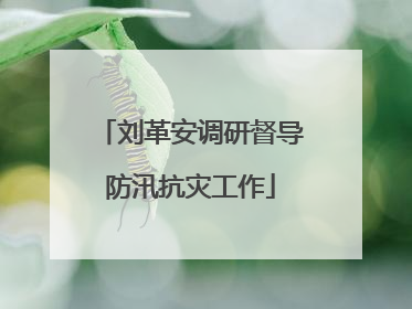 刘革安调研督导防汛抗灾工作