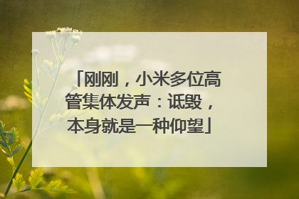 刚刚，小米多位高管集体发声：诋毁，本身就是一种仰望