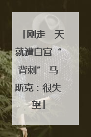 刚走一天就遭白宫“背刺” 马斯克：很失望