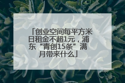创业空间每平方米日租金不超1元，浦东“青创15条”满月带来什么