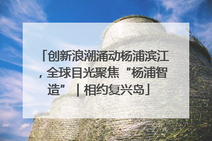 创新浪潮涌动杨浦滨江，全球目光聚焦“杨浦智造”｜相约复兴岛