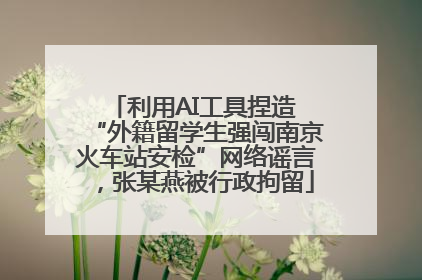利用AI工具捏造 “外籍留学生强闯南京火车站安检”网络谣言，张某燕被行政拘留
