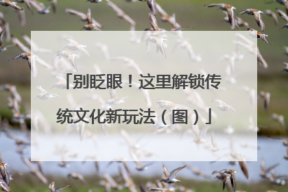 别眨眼！这里解锁传统文化新玩法（图）