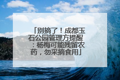 别摘了！成都玉石公园管理方提醒：杨梅可能残留农药，勿采摘食用